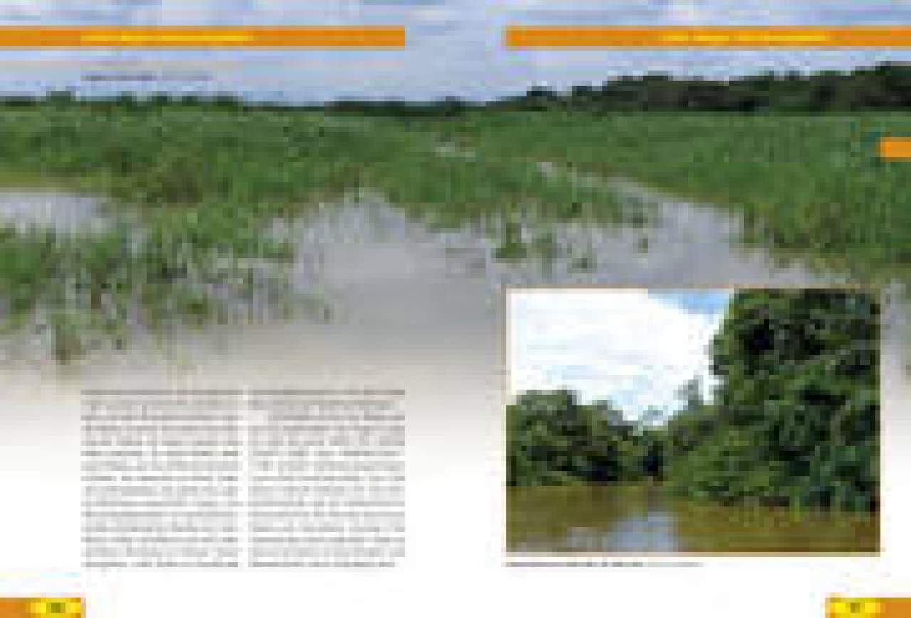 Costa Rica – Naturreiseführer